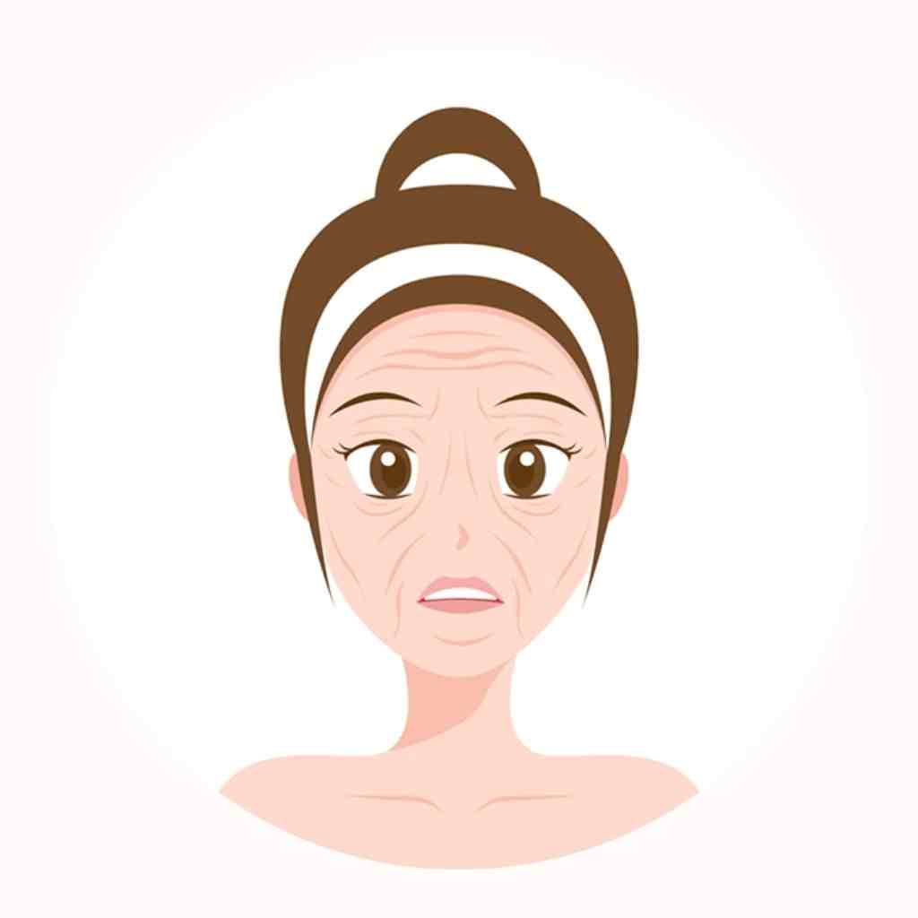 skin concerns fine lines and wrinkles