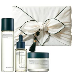 Pyunkang Yul Skincare Gift Set